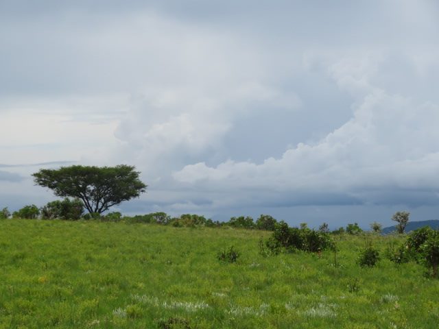 Malawi2