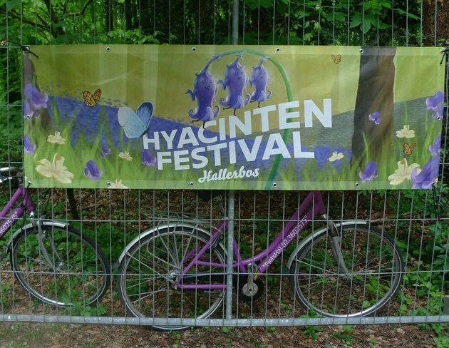  Foto Hyasintenfestival