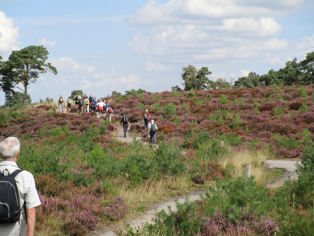 Kalmthoutse Heide