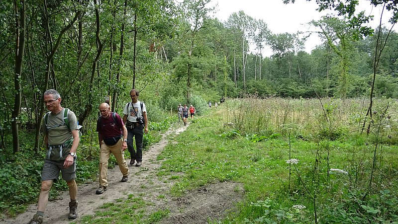 Kluizenbos_Affligem