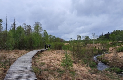 Hoge-Venen