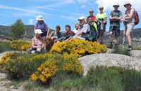 Cevennes
