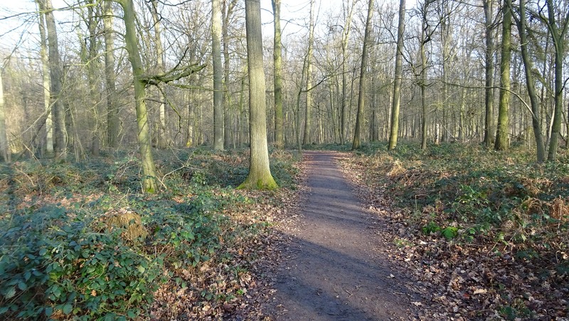 Lebbeke