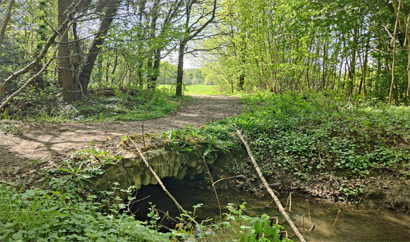 Silsombos
