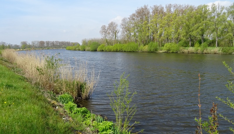 Beervelde