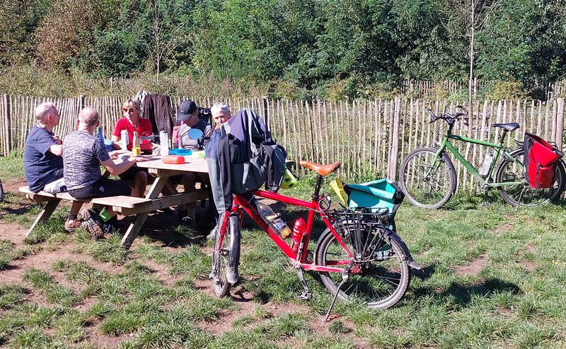 Picknicken